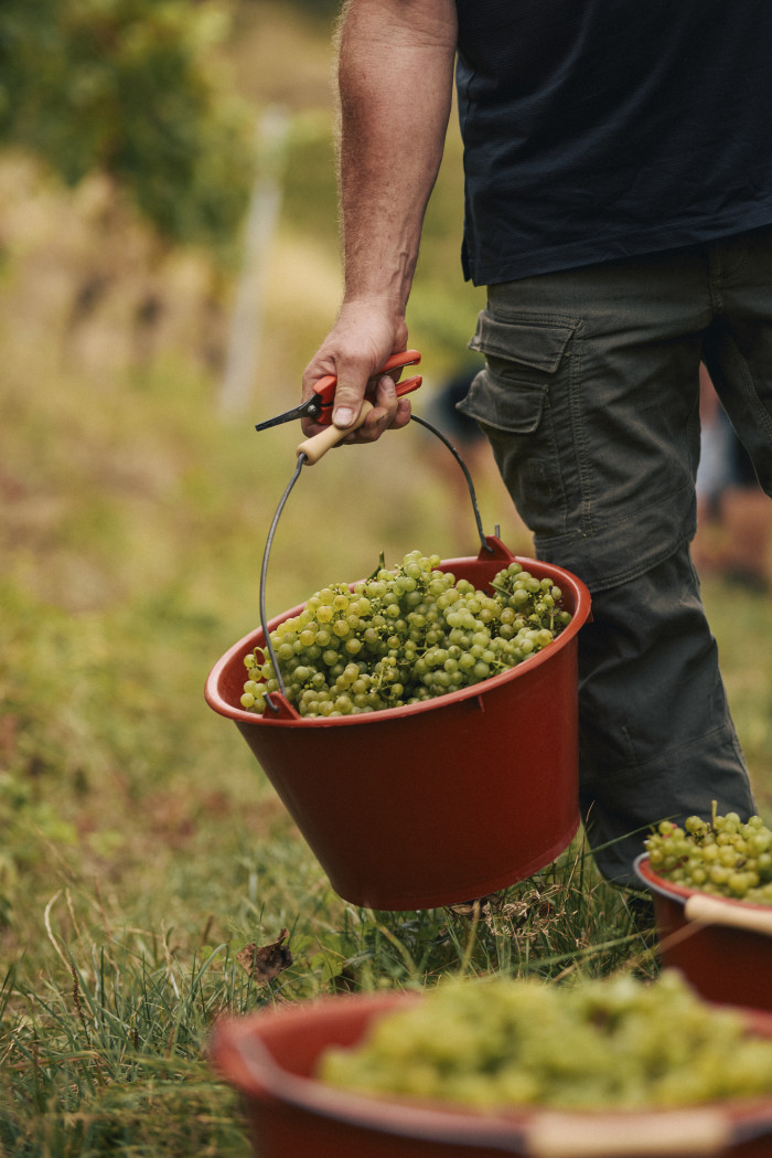 HERBST-WEINPAKET