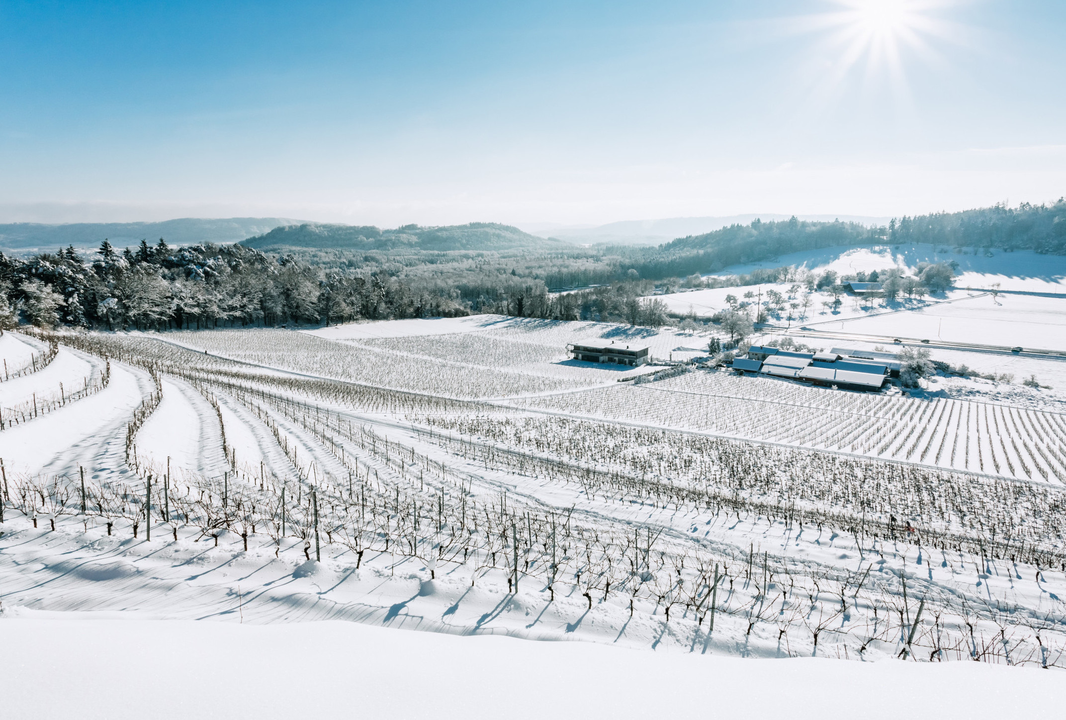 winter -weingut
